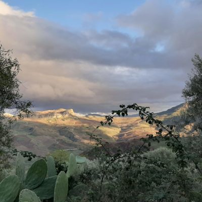 vue de la plantation à l'ouest  