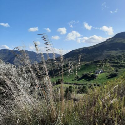 vue de la plantation en direction du sud-ouest